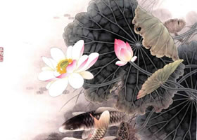工筆畫《荷花鯉魚》畫法步驟圖示