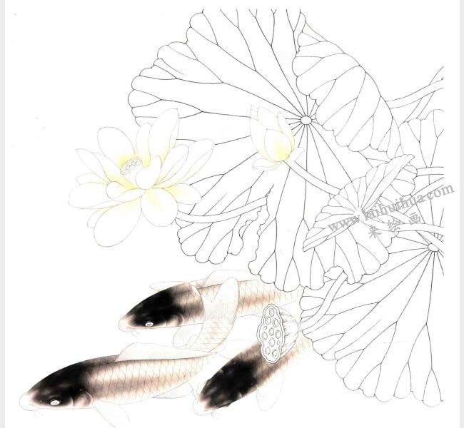 工筆畫《荷花鯉魚》畫法步驟圖示02
