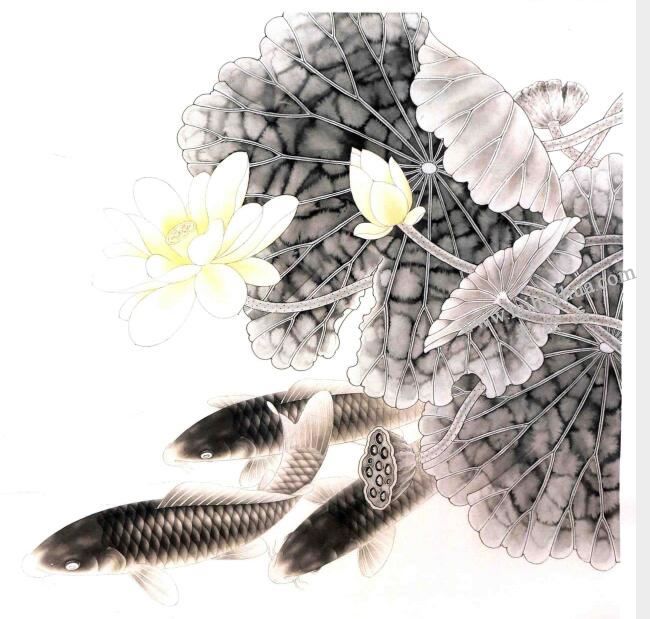 工筆畫《荷花鯉魚》畫法步驟圖示03