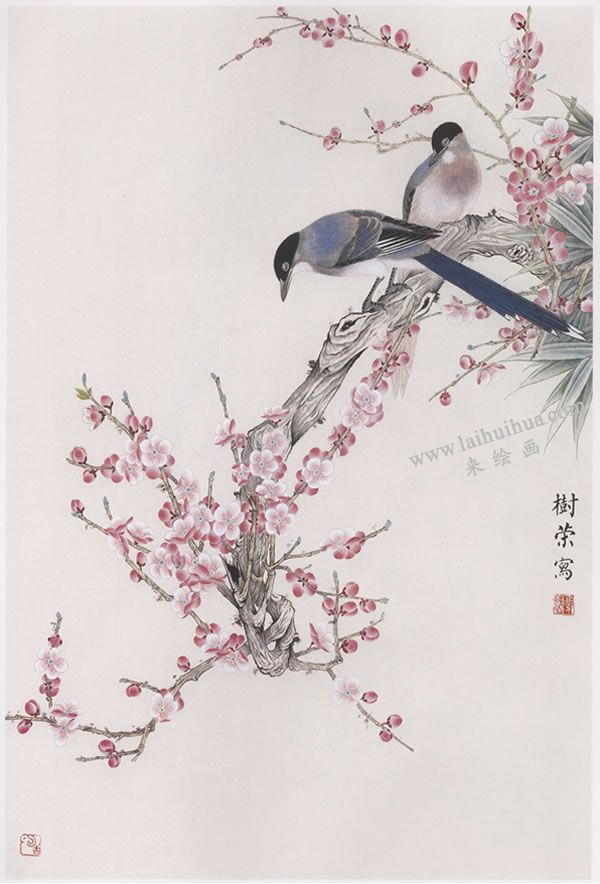 工筆畫《梅花山喜鵲》畫法步驟圖示04