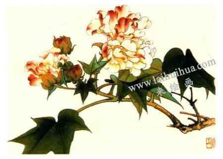 木芙蓉的工筆畫法步驟圖示04