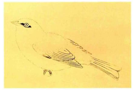 繡眼的工筆畫法步驟圖示01