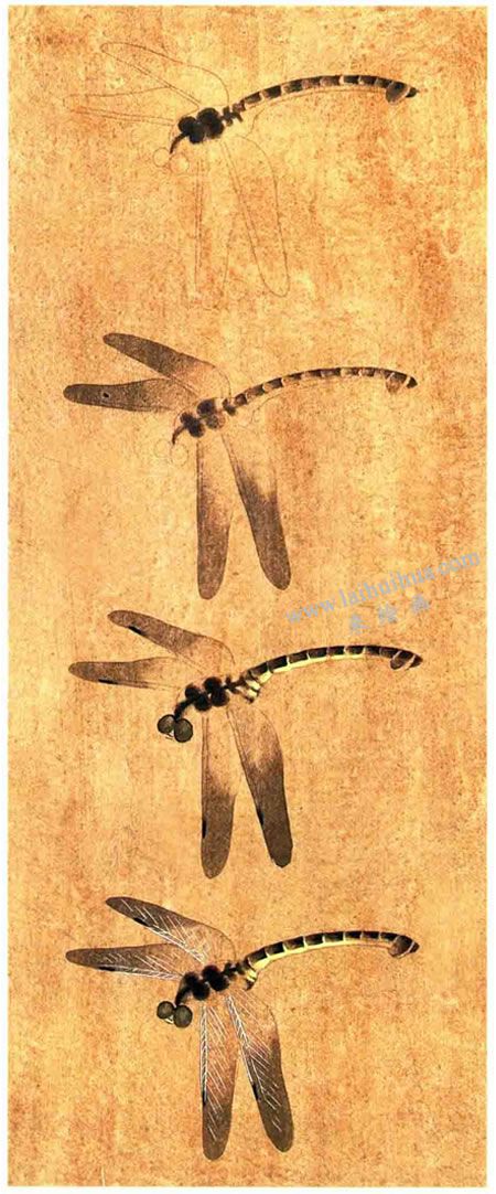 蜻蜓工筆畫法步驟圖示（沒骨畫法）
