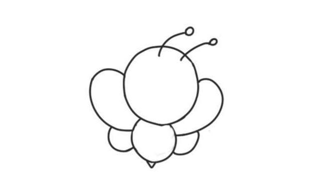 蜜蜂簡筆畫創(chuàng)作步驟圖示03