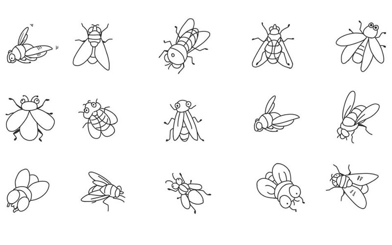 蒼蠅簡(jiǎn)筆畫集合
