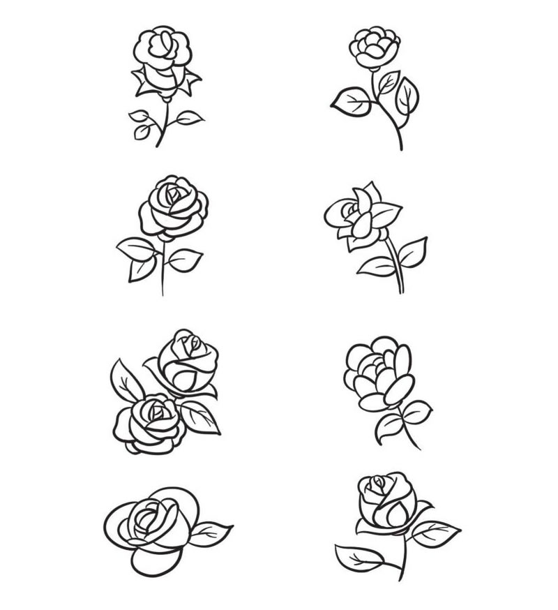 玫瑰花簡(jiǎn)筆畫合集