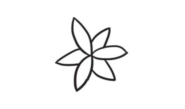 百合花簡(jiǎn)筆畫(huà)創(chuàng)作步驟圖示03