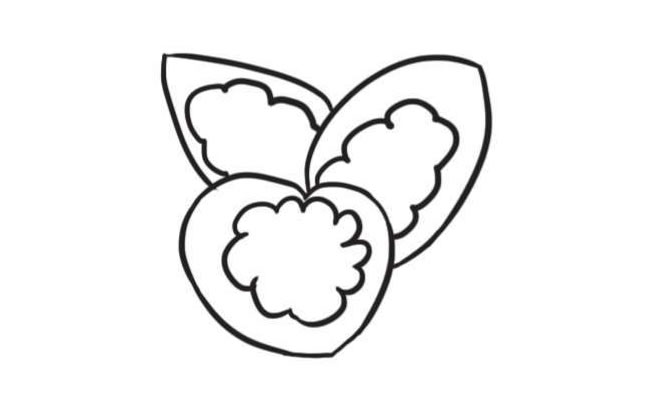 竹芋簡(jiǎn)筆畫創(chuàng)作步驟圖示02
