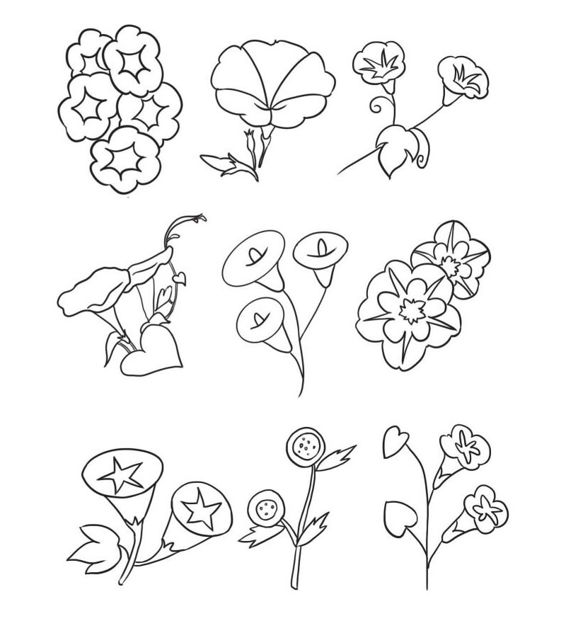 喇叭花簡筆畫集合