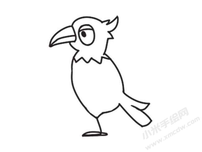 鸚鵡簡筆畫創(chuàng)作步驟圖示04