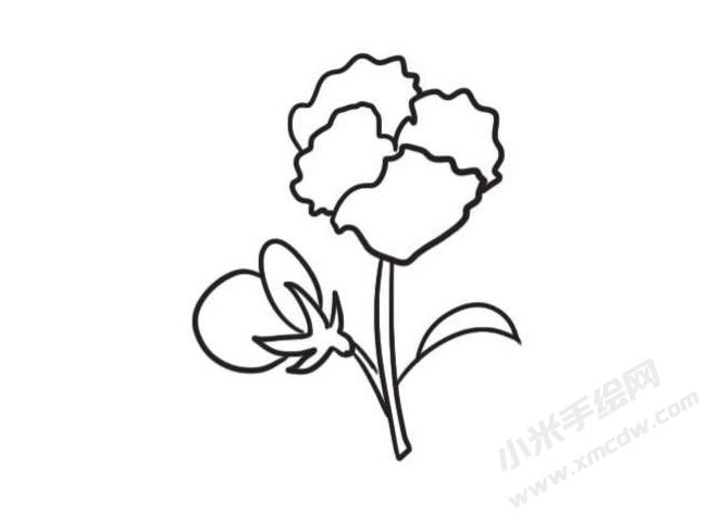 三色堇簡筆畫創(chuàng)作步驟圖示04