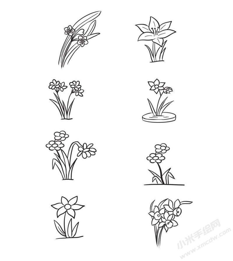 水仙花簡(jiǎn)筆畫集合