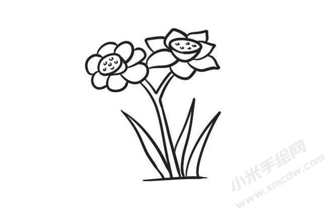 水仙花簡(jiǎn)筆畫創(chuàng)作步驟圖示04