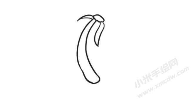 蒲公英簡(jiǎn)筆畫創(chuàng)作步驟圖示01