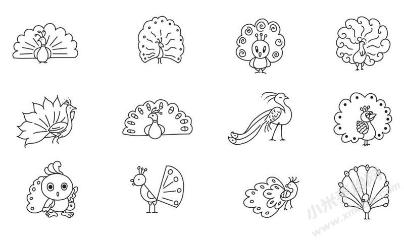 孔雀簡筆畫集合
