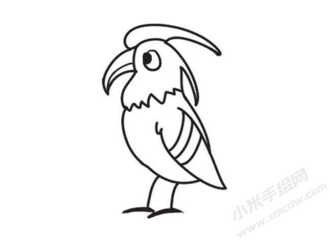 啄木鳥簡筆畫創(chuàng)作步驟圖示05