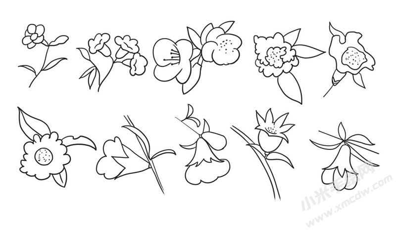石榴花簡(jiǎn)筆畫集合