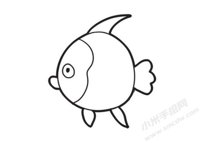 熱帶魚簡筆畫創(chuàng)作步驟圖示03