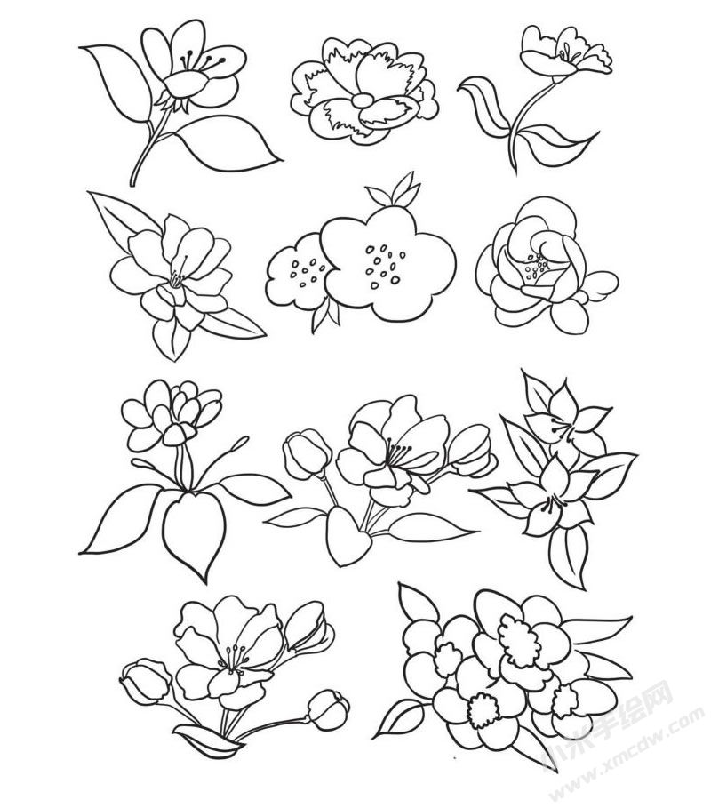 海棠花簡(jiǎn)筆畫集合