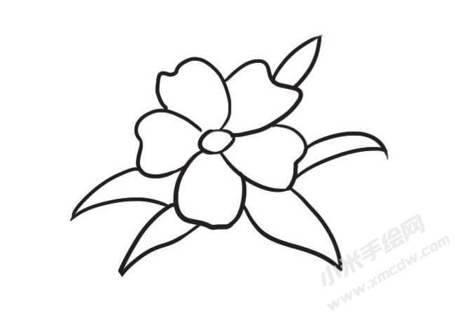 茉莉花簡(jiǎn)筆畫創(chuàng)作步驟圖示03