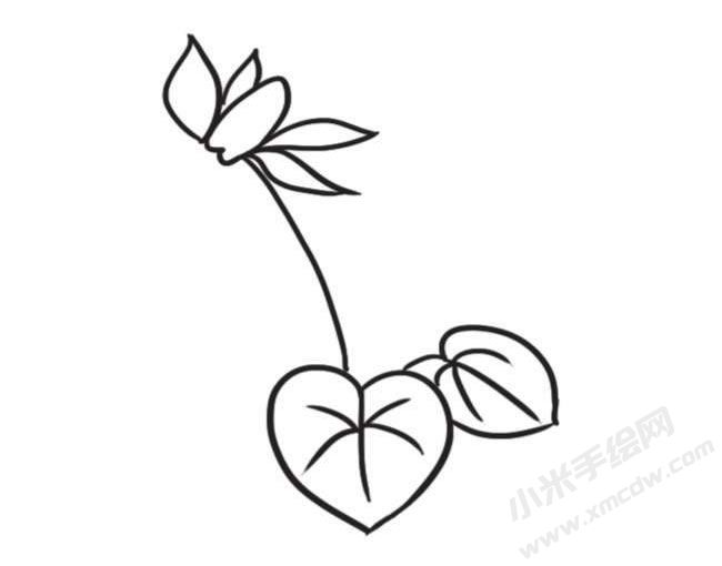 仙客來簡筆畫創(chuàng)作步驟圖示02