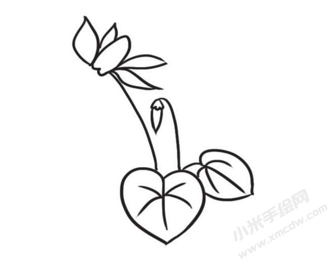 仙客來簡筆畫創(chuàng)作步驟圖示03