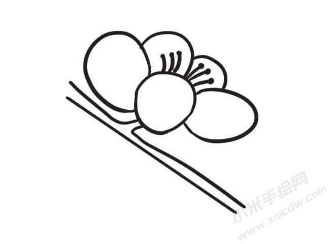 梅花簡筆畫創(chuàng)作步驟圖示03