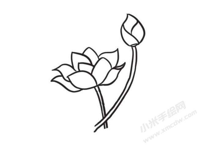 荷花簡筆畫創(chuàng)作步驟圖示02