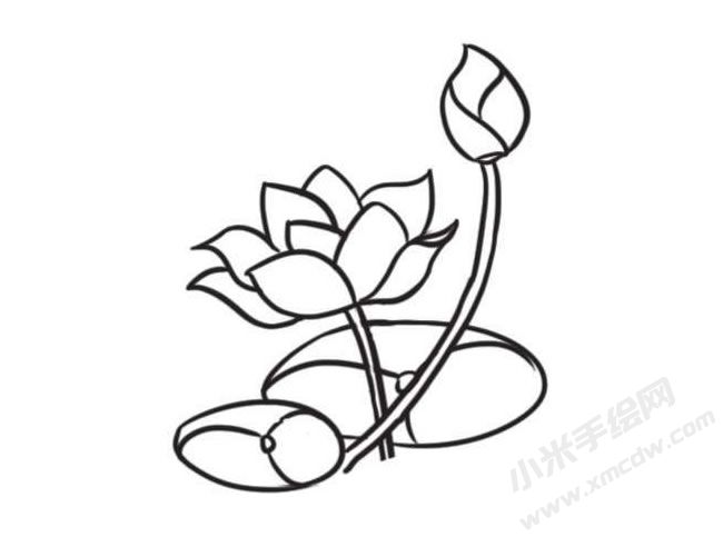 荷花簡筆畫創(chuàng)作步驟圖示03