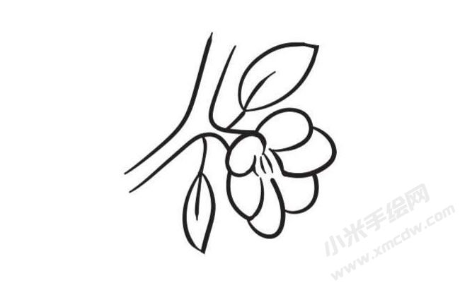 桃花簡筆畫創(chuàng)作步驟圖示04
