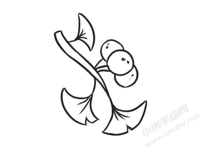 銀杏簡筆畫創(chuàng)作步驟圖示04