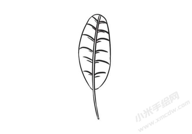 芭蕉樹(shù)簡(jiǎn)筆畫創(chuàng)作步驟圖示03