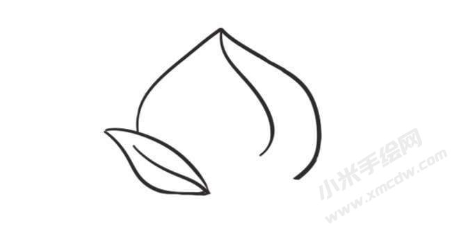 桃子簡筆畫創(chuàng)作步驟圖示03