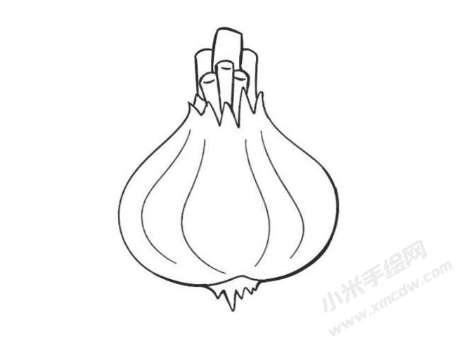 大蒜簡筆畫創(chuàng)作步驟圖示04