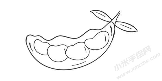 豌豆簡筆畫創(chuàng)作步驟圖示04