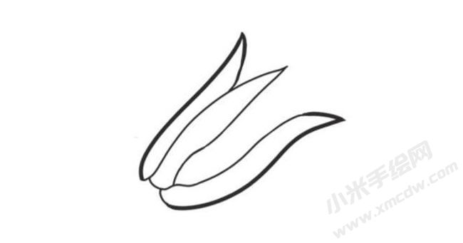 玉米簡(jiǎn)筆畫創(chuàng)作步驟圖示02