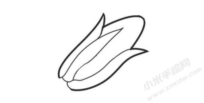 玉米簡(jiǎn)筆畫創(chuàng)作步驟圖示03