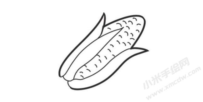 玉米簡(jiǎn)筆畫創(chuàng)作步驟圖示04