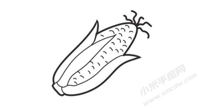 玉米簡(jiǎn)筆畫創(chuàng)作步驟圖示05