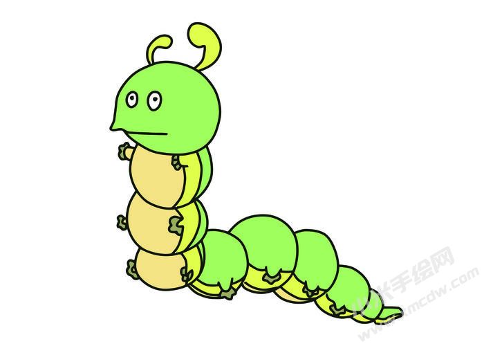 毛毛蟲簡(jiǎn)筆畫彩圖稿01.jpg