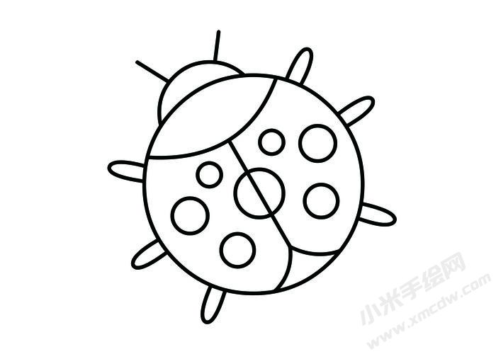 七星瓢蟲(chóng)簡(jiǎn)筆畫(huà)黑白線稿01.jpg