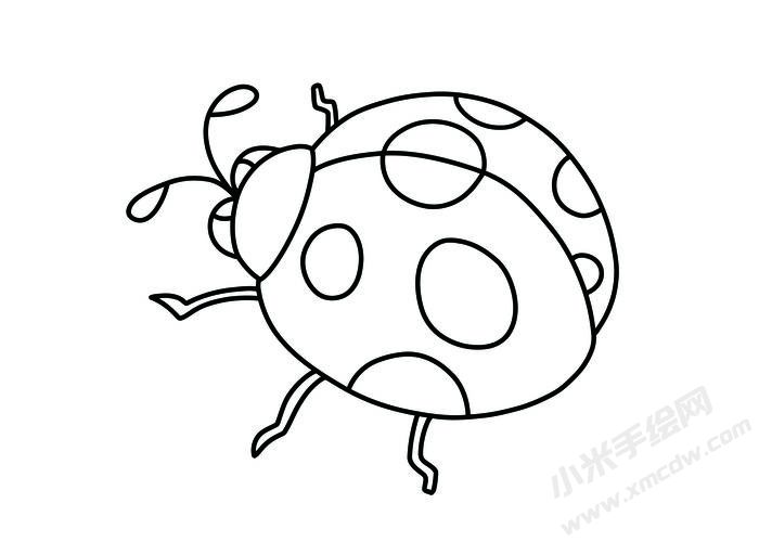 七星瓢蟲(chóng)簡(jiǎn)筆畫(huà)黑白線稿04.jpg
