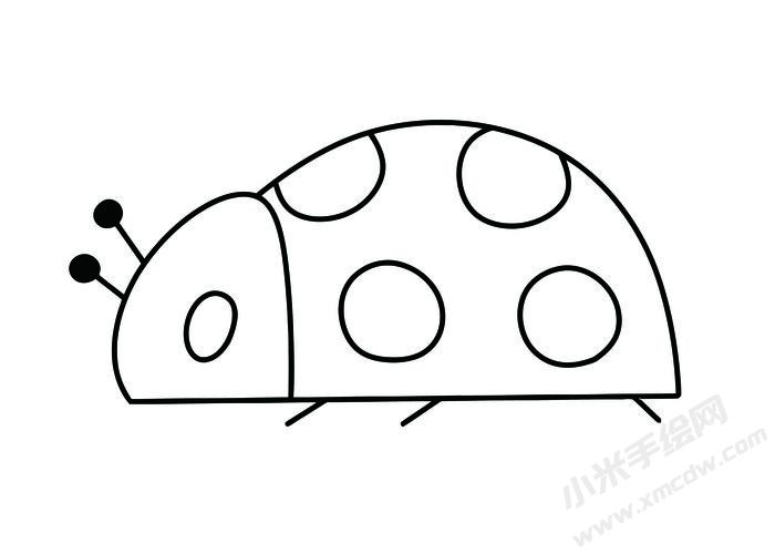 七星瓢蟲(chóng)簡(jiǎn)筆畫(huà)黑白線稿07.jpg