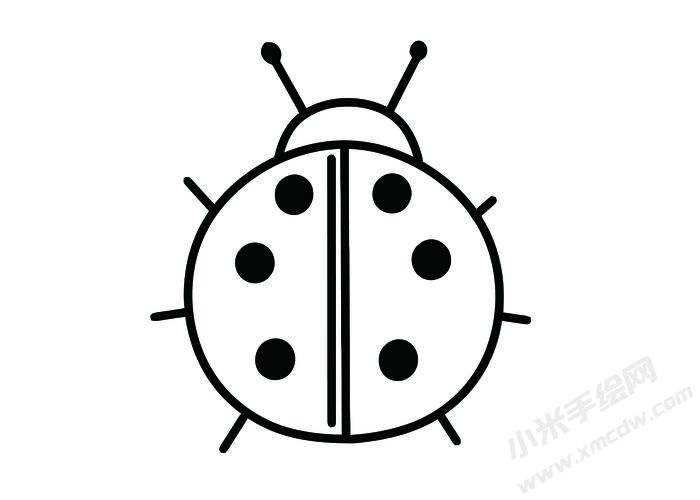 七星瓢蟲(chóng)簡(jiǎn)筆畫(huà)黑白線稿05.jpg