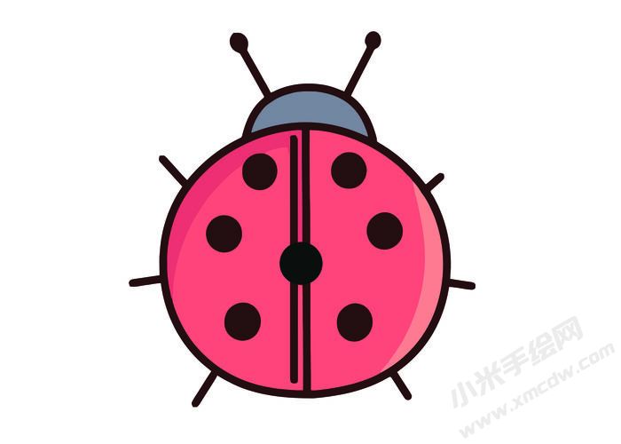 七星瓢蟲簡(jiǎn)筆畫彩圖稿05.jpg