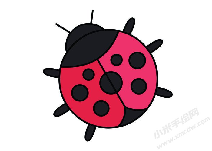 七星瓢蟲簡(jiǎn)筆畫彩圖稿01.jpg