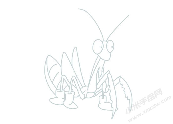 螳螂簡(jiǎn)筆畫(huà)灰色線稿05.jpg