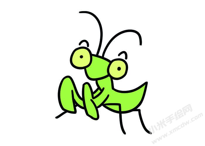 螳螂簡(jiǎn)筆畫彩圖稿02.jpg