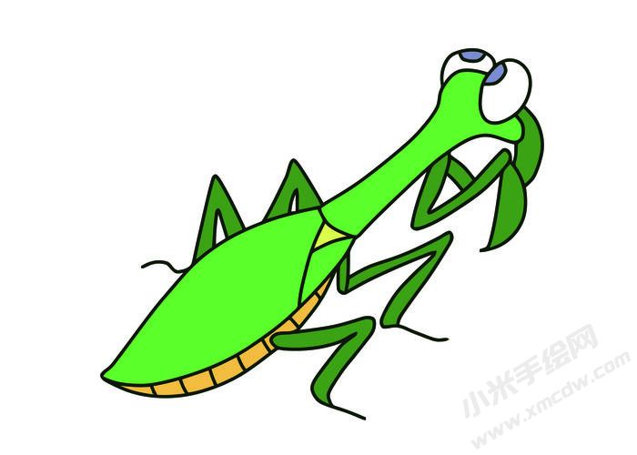 螳螂簡(jiǎn)筆畫彩圖稿06.jpg