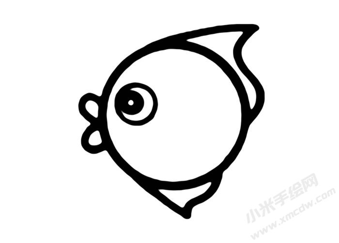 熱帶魚兒童簡筆畫步驟04.jpg